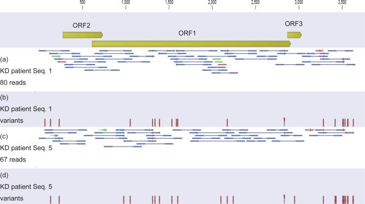 https://cdn.ncbi.nlm.nih.gov/pmc/blobs/43ea/6310298/4c6913fd92fc/pone.0209683.g004.jpg