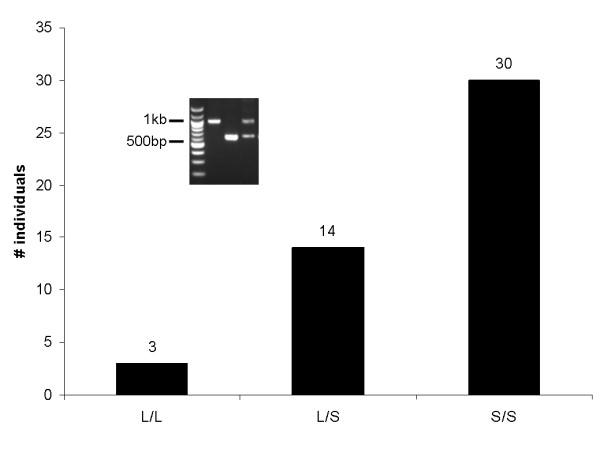 https://cdn.ncbi.nlm.nih.gov/pmc/blobs/43eb/2483724/93b47ddb5aa8/1471-2148-8-180-4.jpg