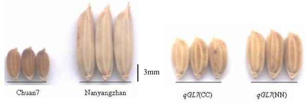 https://cdn.ncbi.nlm.nih.gov/pmc/blobs/43ee/2846863/b9b00f574fc3/1471-2156-11-16-1.jpg