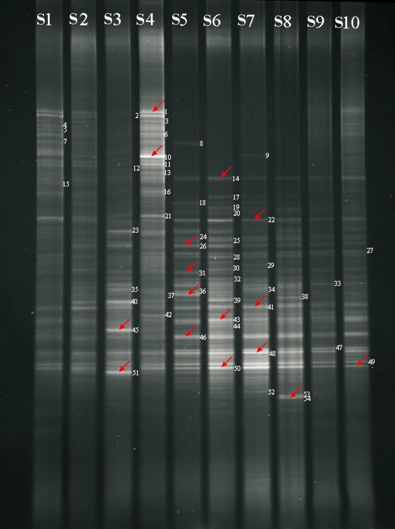 https://cdn.ncbi.nlm.nih.gov/pmc/blobs/43f1/4774956/76b5b0a79da3/pone.0150618.g001.jpg