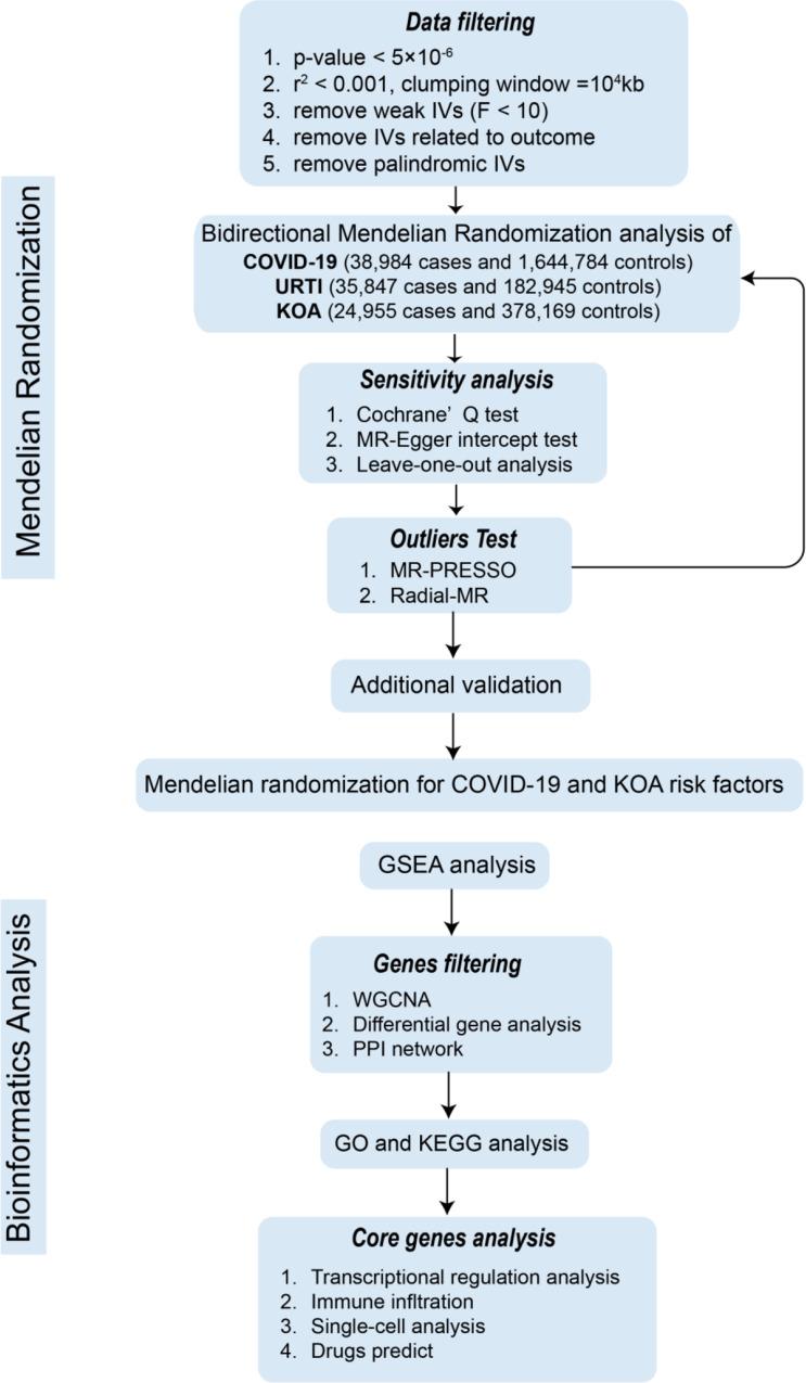 https://cdn.ncbi.nlm.nih.gov/pmc/blobs/43f3/11697936/9d75c8549042/12920_2024_2074_Fig1_HTML.jpg