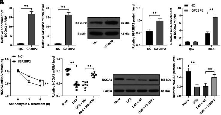 https://cdn.ncbi.nlm.nih.gov/pmc/blobs/43f8/12070433/53679c132479/tjg-36-5-269_f002.jpg