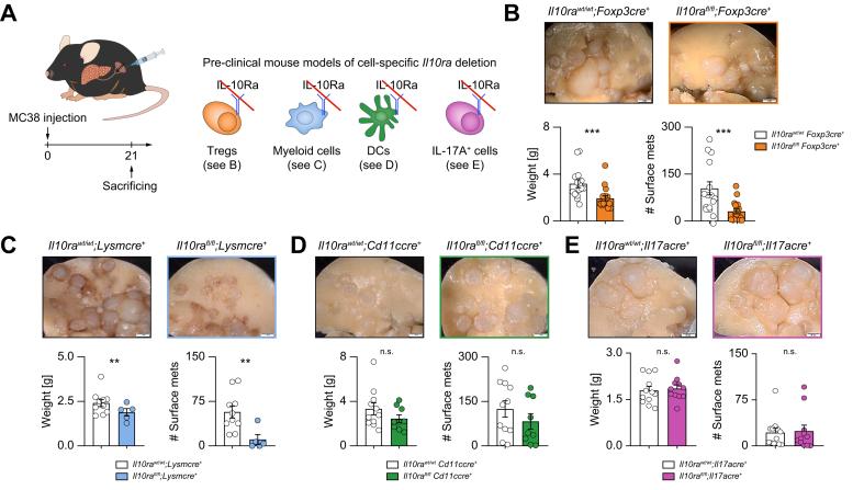 https://cdn.ncbi.nlm.nih.gov/pmc/blobs/43fa/10964083/c21cca0bdd15/gr5.jpg