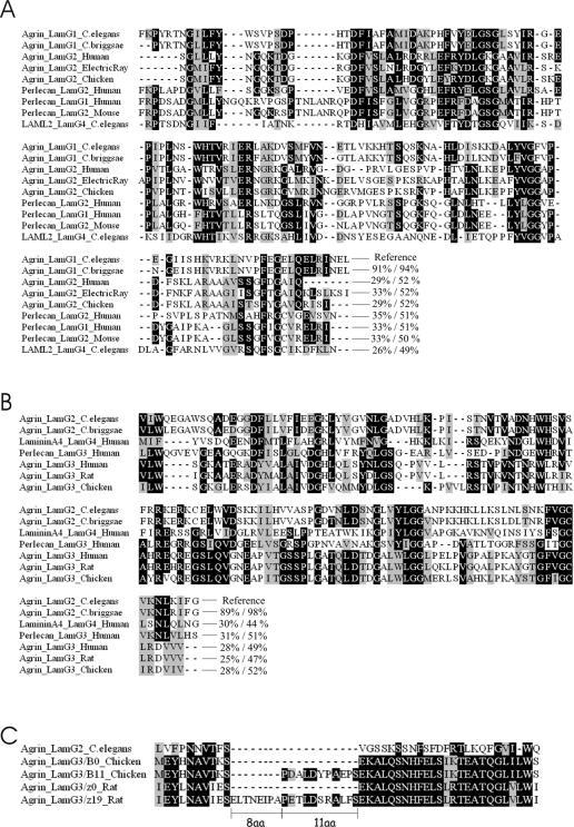 https://cdn.ncbi.nlm.nih.gov/pmc/blobs/43fa/1939731/098e9a9de45a/pone.0000731.g004.jpg