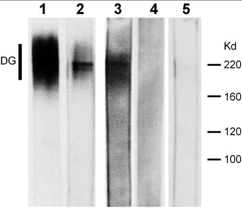 https://cdn.ncbi.nlm.nih.gov/pmc/blobs/43fa/1939731/353c5a8f4117/pone.0000731.g009.jpg