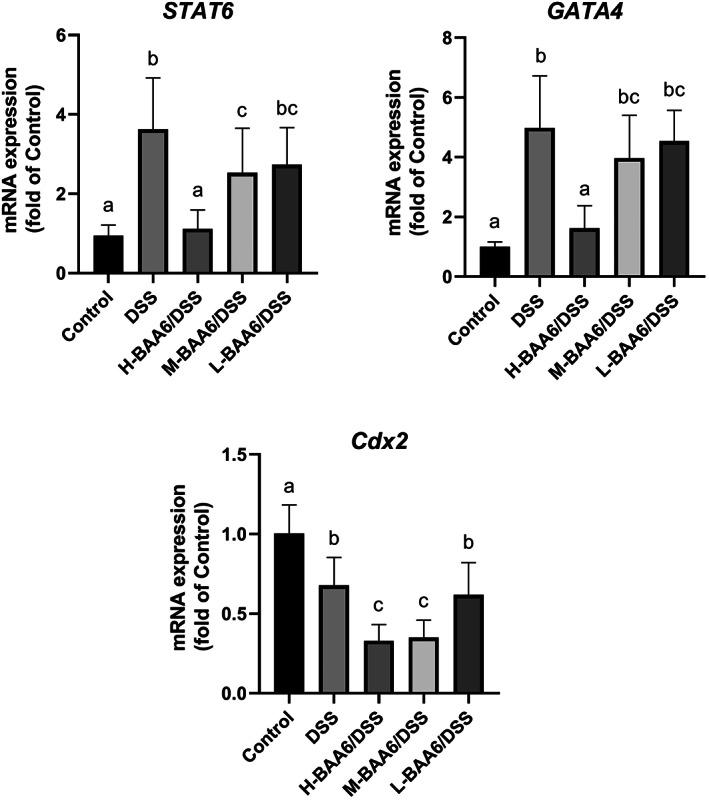 https://cdn.ncbi.nlm.nih.gov/pmc/blobs/43fb/9922152/9e2fb4b87a18/FSN3-11-892-g003.jpg