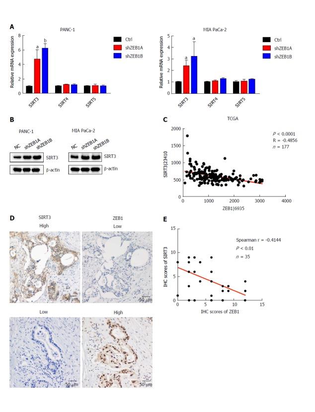 https://cdn.ncbi.nlm.nih.gov/pmc/blobs/43fe/6250915/a77d8cb7786b/WJG-24-4893-g003.jpg