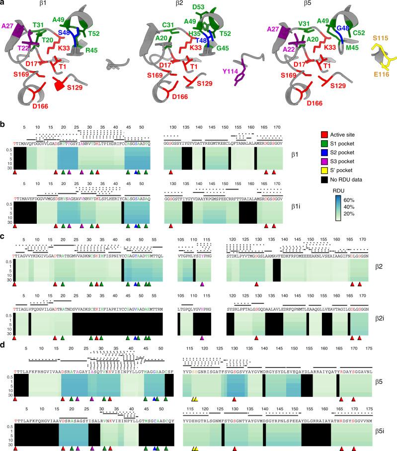 https://cdn.ncbi.nlm.nih.gov/pmc/blobs/4400/7708635/11f376e42ffc/41467_2020_19934_Fig3_HTML.jpg