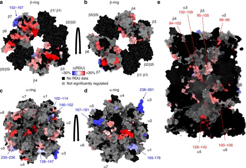 https://cdn.ncbi.nlm.nih.gov/pmc/blobs/4400/7708635/b62578d029b4/41467_2020_19934_Fig4_HTML.jpg