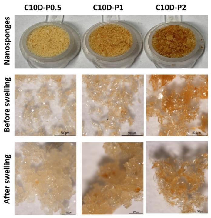 https://cdn.ncbi.nlm.nih.gov/pmc/blobs/4402/8658895/1357470a8bf2/polymers-13-04110-g002.jpg