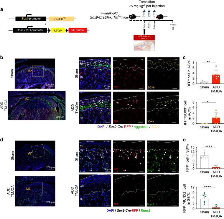 https://cdn.ncbi.nlm.nih.gov/pmc/blobs/4403/10457315/26a864644803/41368_2023_240_Fig6_HTML.jpg
