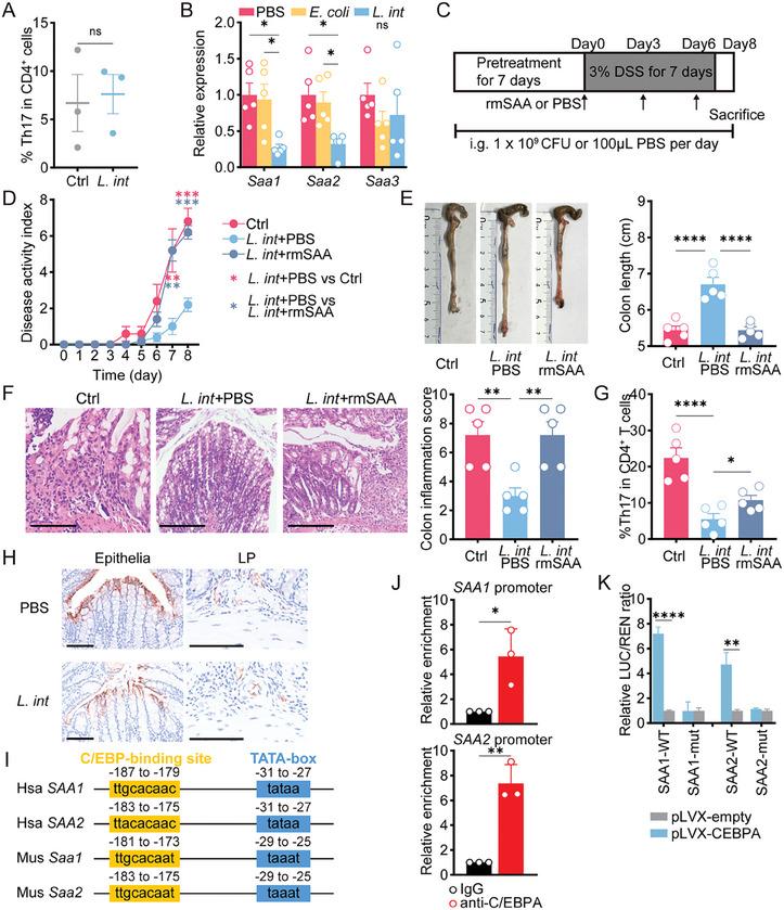 https://cdn.ncbi.nlm.nih.gov/pmc/blobs/4408/10754072/d95001602d9f/ADVS-10-2303457-g007.jpg
