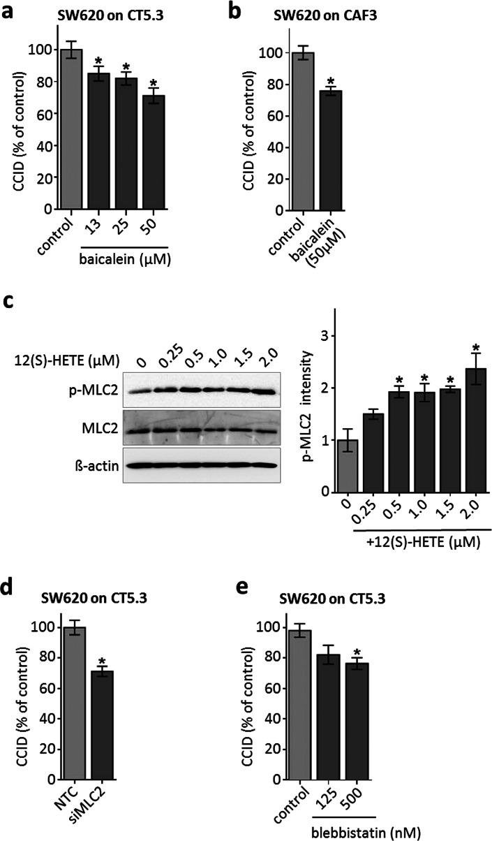 https://cdn.ncbi.nlm.nih.gov/pmc/blobs/4409/11107695/c82ded0b8adf/18_2016_2441_Fig2_HTML.jpg