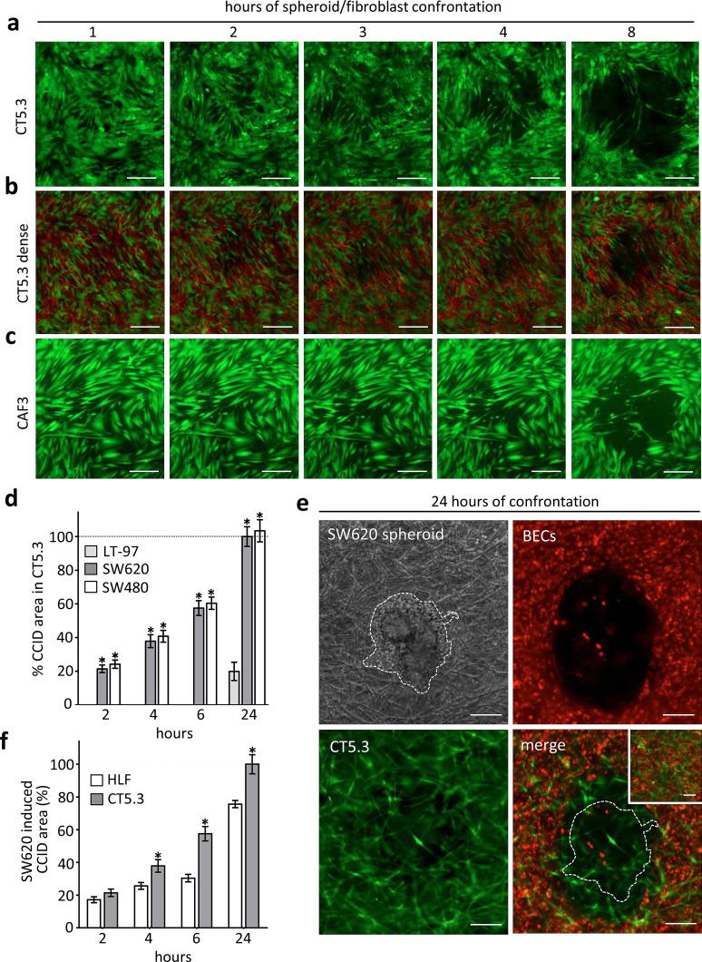 https://cdn.ncbi.nlm.nih.gov/pmc/blobs/4409/11107695/e8a4fa306b07/18_2016_2441_Fig1_HTML.jpg
