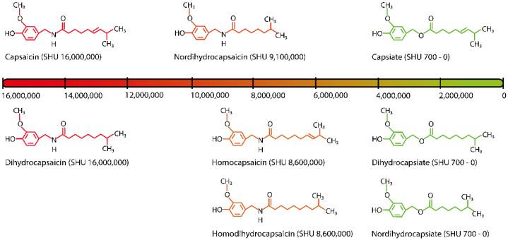 https://cdn.ncbi.nlm.nih.gov/pmc/blobs/4409/9788535/e49333530d70/microorganisms-10-02387-g001.jpg