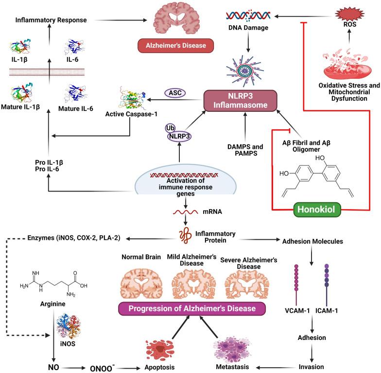 https://cdn.ncbi.nlm.nih.gov/pmc/blobs/440f/10668527/bb5da0517411/13020_2023_846_Fig4_HTML.jpg