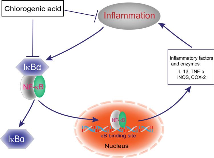 https://cdn.ncbi.nlm.nih.gov/pmc/blobs/440f/9185768/7ba76ded5892/CN-19-2180_F2.jpg