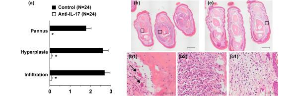 https://cdn.ncbi.nlm.nih.gov/pmc/blobs/4411/2745806/b433ab3121a6/ar2787-2.jpg