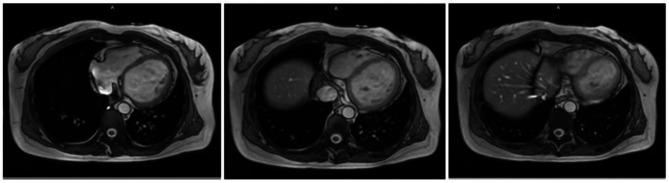 https://cdn.ncbi.nlm.nih.gov/pmc/blobs/4412/12060564/d2dd4ad7b41f/12872_2025_4826_Fig2_HTML.jpg