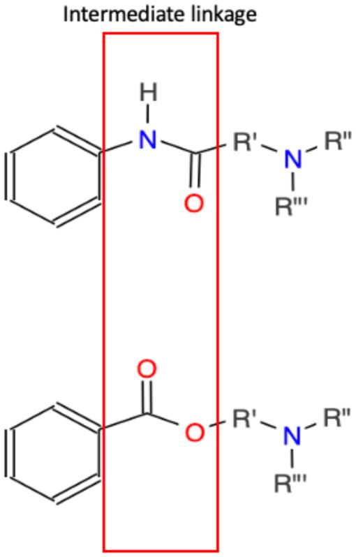 https://cdn.ncbi.nlm.nih.gov/pmc/blobs/4413/11496298/20c0e745ba9a/fpain-05-1408905-g002.jpg