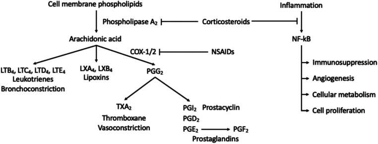 https://cdn.ncbi.nlm.nih.gov/pmc/blobs/4413/11496298/351140fe4c4d/fpain-05-1408905-g001.jpg