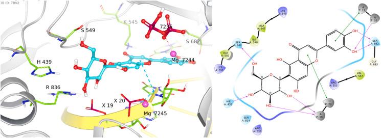 https://cdn.ncbi.nlm.nih.gov/pmc/blobs/4414/8108478/874322c63f03/gr5_lrg.jpg