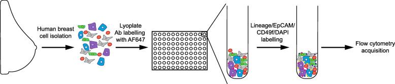 https://cdn.ncbi.nlm.nih.gov/pmc/blobs/4418/8201685/0dfbb8d94e11/13058_2021_1444_Fig1_HTML.jpg