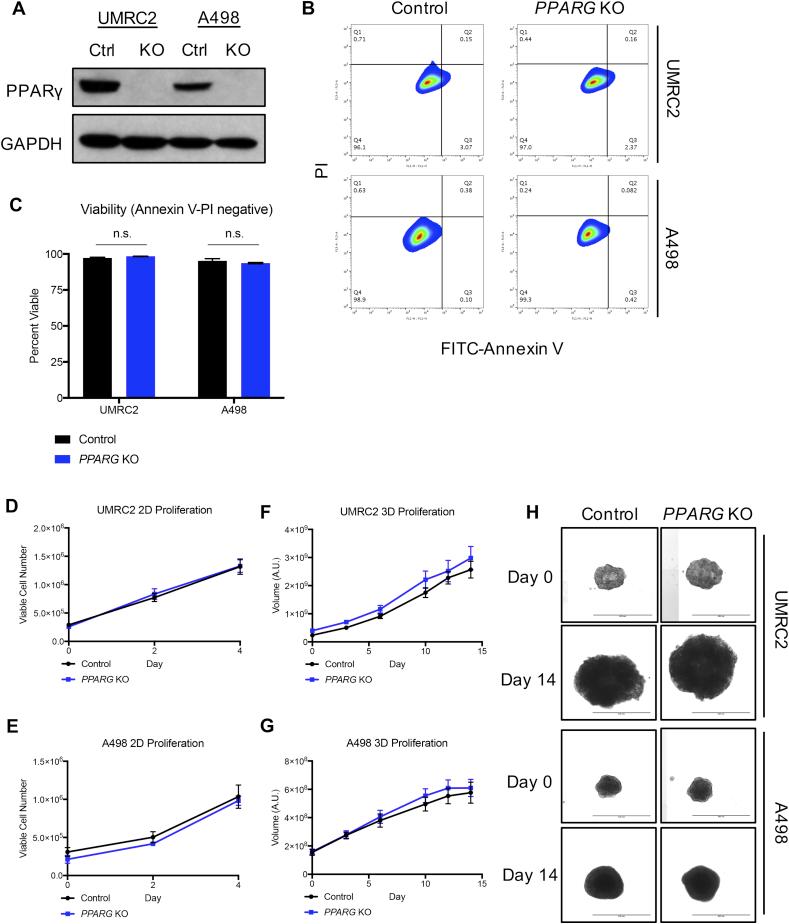https://cdn.ncbi.nlm.nih.gov/pmc/blobs/441a/6034040/4782f5ffab76/gr3.jpg