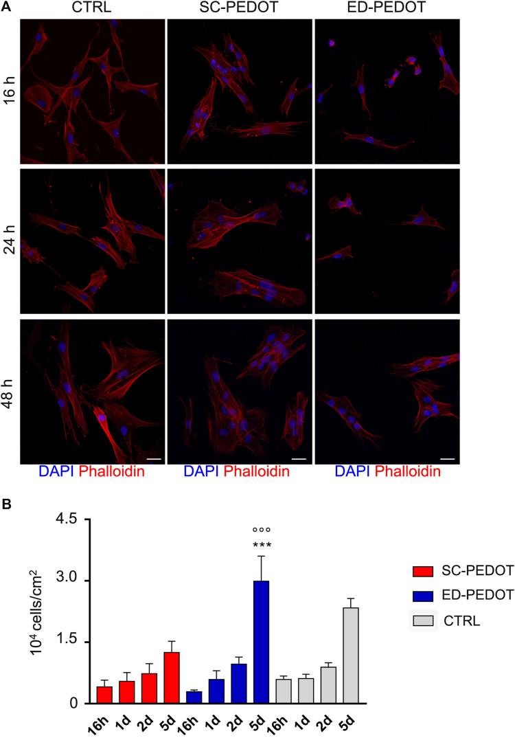 https://cdn.ncbi.nlm.nih.gov/pmc/blobs/441a/9428488/eb482c6c3c1e/fphys-13-930804-g003.jpg