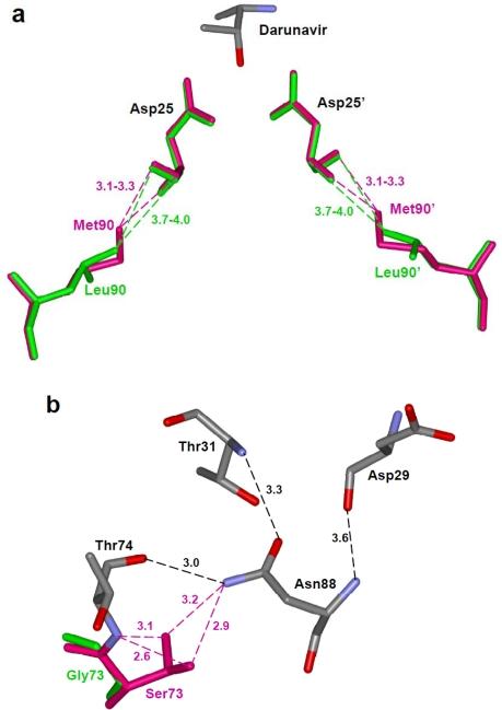https://cdn.ncbi.nlm.nih.gov/pmc/blobs/441b/3185505/53176164c8f0/viruses-01-01110f7.jpg