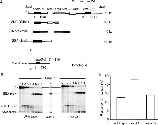https://cdn.ncbi.nlm.nih.gov/pmc/blobs/441e/2910038/735a081f2e75/gkq137f6.jpg