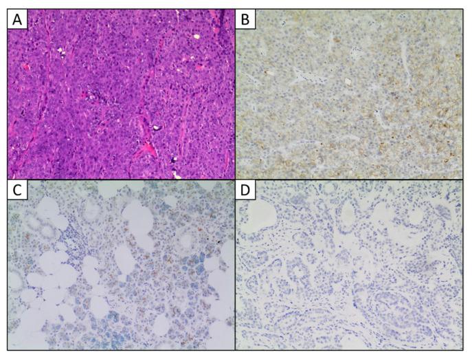 https://cdn.ncbi.nlm.nih.gov/pmc/blobs/441f/9456024/df2342ff97e2/ijms-23-09711-g002.jpg
