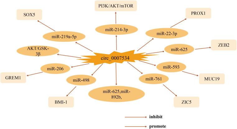 https://cdn.ncbi.nlm.nih.gov/pmc/blobs/4420/9730518/cc33efea994a/fonc-12-1031802-g002.jpg