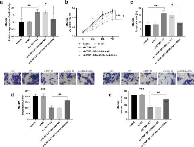 https://cdn.ncbi.nlm.nih.gov/pmc/blobs/4422/11169288/f7ca85479377/12672_2024_1085_Fig3_HTML.jpg