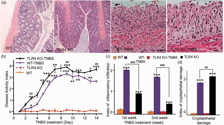 https://cdn.ncbi.nlm.nih.gov/pmc/blobs/4422/6378437/93539b0d0775/10.1177_1744806919830018-fig1.jpg