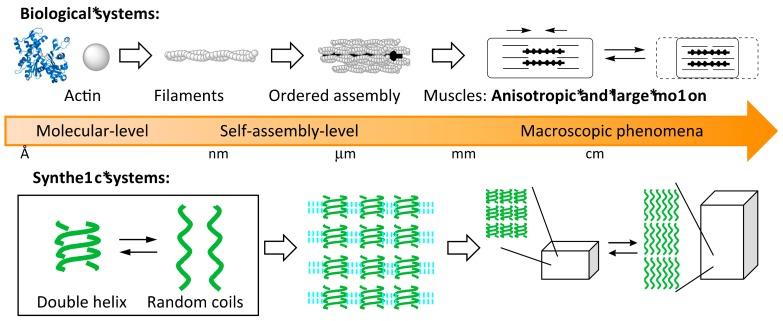 https://cdn.ncbi.nlm.nih.gov/pmc/blobs/4424/6017771/015d46ffbd90/molecules-23-00277-g001.jpg