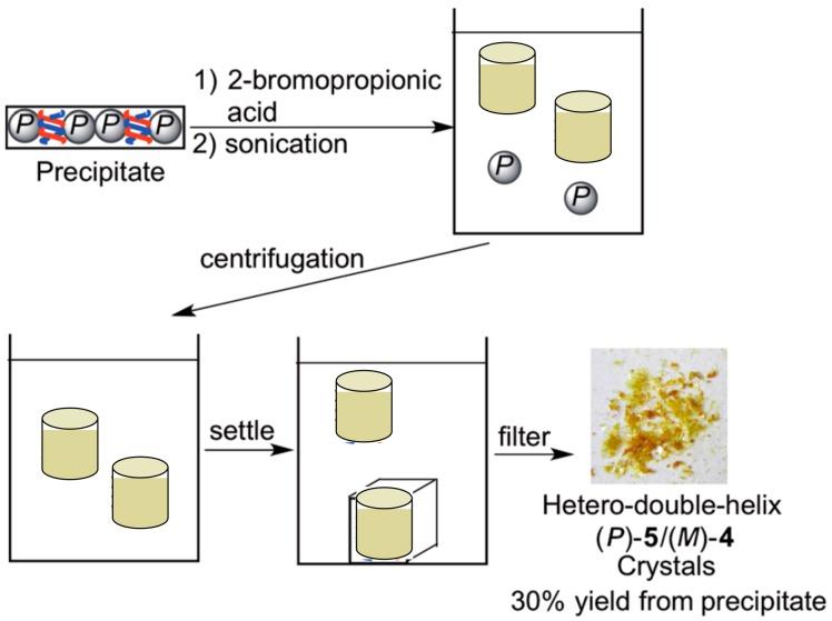 https://cdn.ncbi.nlm.nih.gov/pmc/blobs/4424/6017771/6dfe9e44ce7a/molecules-23-00277-g035.jpg