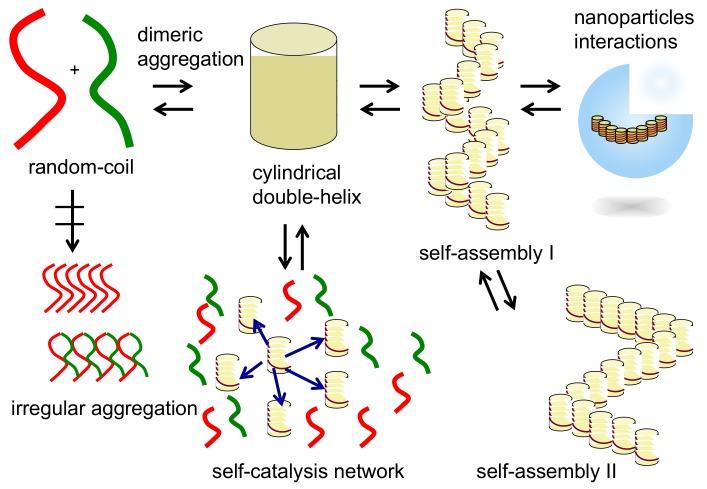 https://cdn.ncbi.nlm.nih.gov/pmc/blobs/4424/6017771/82003d9851c9/molecules-23-00277-g009.jpg