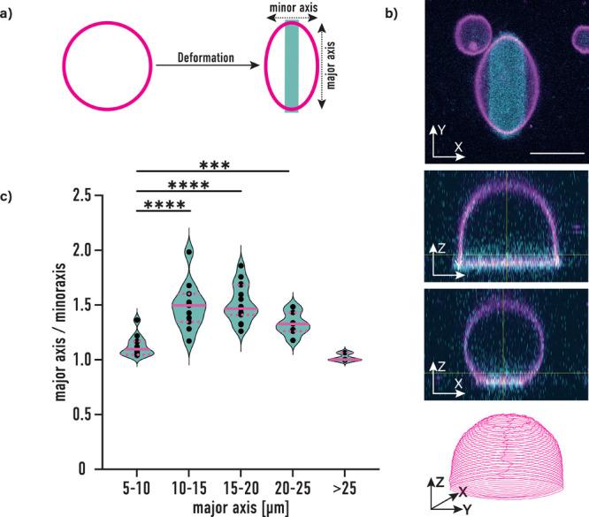 https://cdn.ncbi.nlm.nih.gov/pmc/blobs/4424/9942188/b5509e7d75f6/sb2c00516_0002.jpg