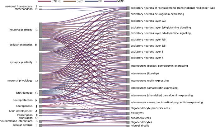 https://cdn.ncbi.nlm.nih.gov/pmc/blobs/4426/10874418/f052fb9bd5a3/41537_2024_443_Fig4_HTML.jpg
