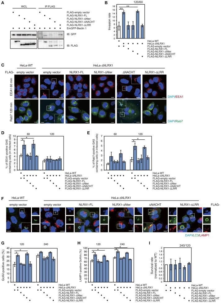 https://cdn.ncbi.nlm.nih.gov/pmc/blobs/4427/6246980/34e7821efa22/fcimb-08-00403-g0005.jpg