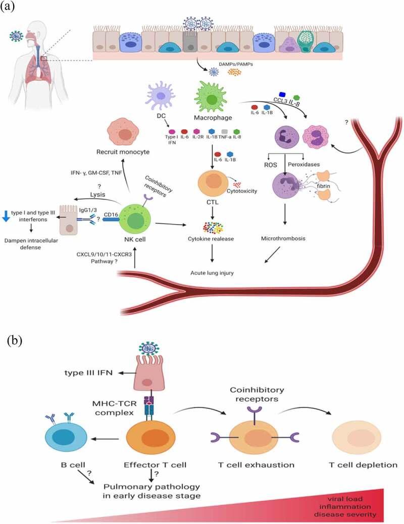https://cdn.ncbi.nlm.nih.gov/pmc/blobs/4427/7993139/dd38b1de7390/KVIR_A_1898790_F0002_OC.jpg
