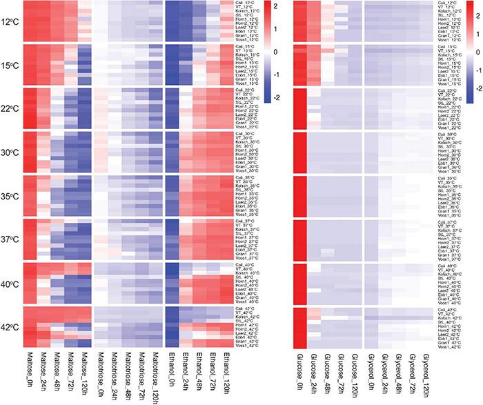 https://cdn.ncbi.nlm.nih.gov/pmc/blobs/4428/8966892/4f6522c49779/fmicb-13-747546-g004.jpg