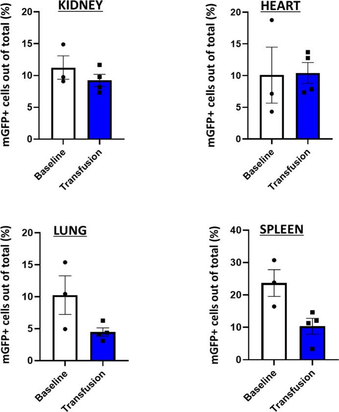 https://cdn.ncbi.nlm.nih.gov/pmc/blobs/442a/8548207/1dd3d0b40701/LSA-2021-01048_FigS4.jpg
