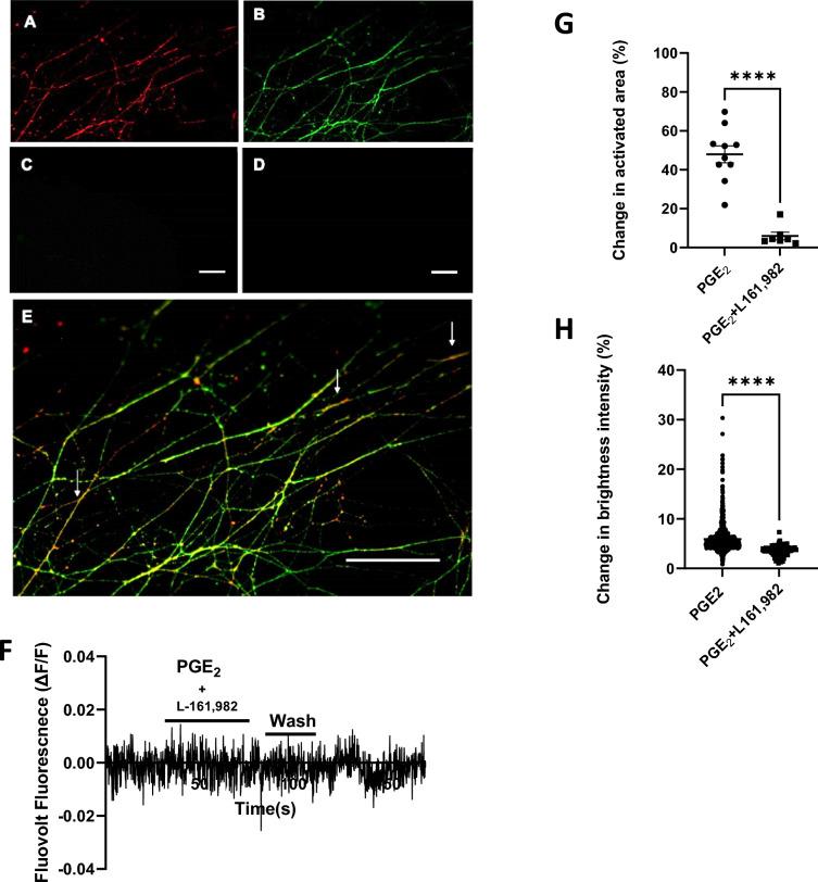 https://cdn.ncbi.nlm.nih.gov/pmc/blobs/442b/11286870/180dec470844/41598_2024_67793_Fig6_HTML.jpg