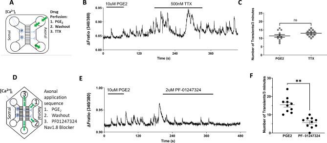 https://cdn.ncbi.nlm.nih.gov/pmc/blobs/442b/11286870/1bf53f965fc2/41598_2024_67793_Fig4_HTML.jpg