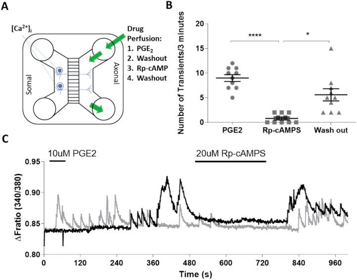 https://cdn.ncbi.nlm.nih.gov/pmc/blobs/442b/11286870/ad51d3019d98/41598_2024_67793_Fig3_HTML.jpg