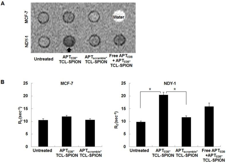 https://cdn.ncbi.nlm.nih.gov/pmc/blobs/442b/4063982/e69b3e8e5e2d/thnov04p0845g004.jpg
