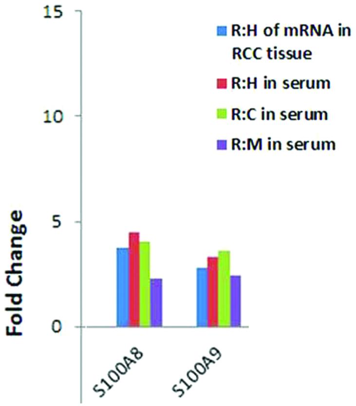 https://cdn.ncbi.nlm.nih.gov/pmc/blobs/442b/4394970/354b9958ae66/MMR-11-06-4093-g00.jpg