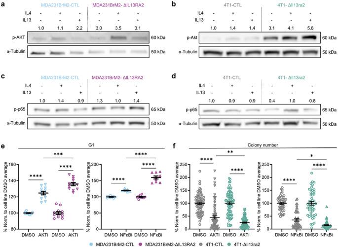 https://cdn.ncbi.nlm.nih.gov/pmc/blobs/442d/12263738/008f2d2a3619/10585_2025_10362_Fig6_HTML.jpg